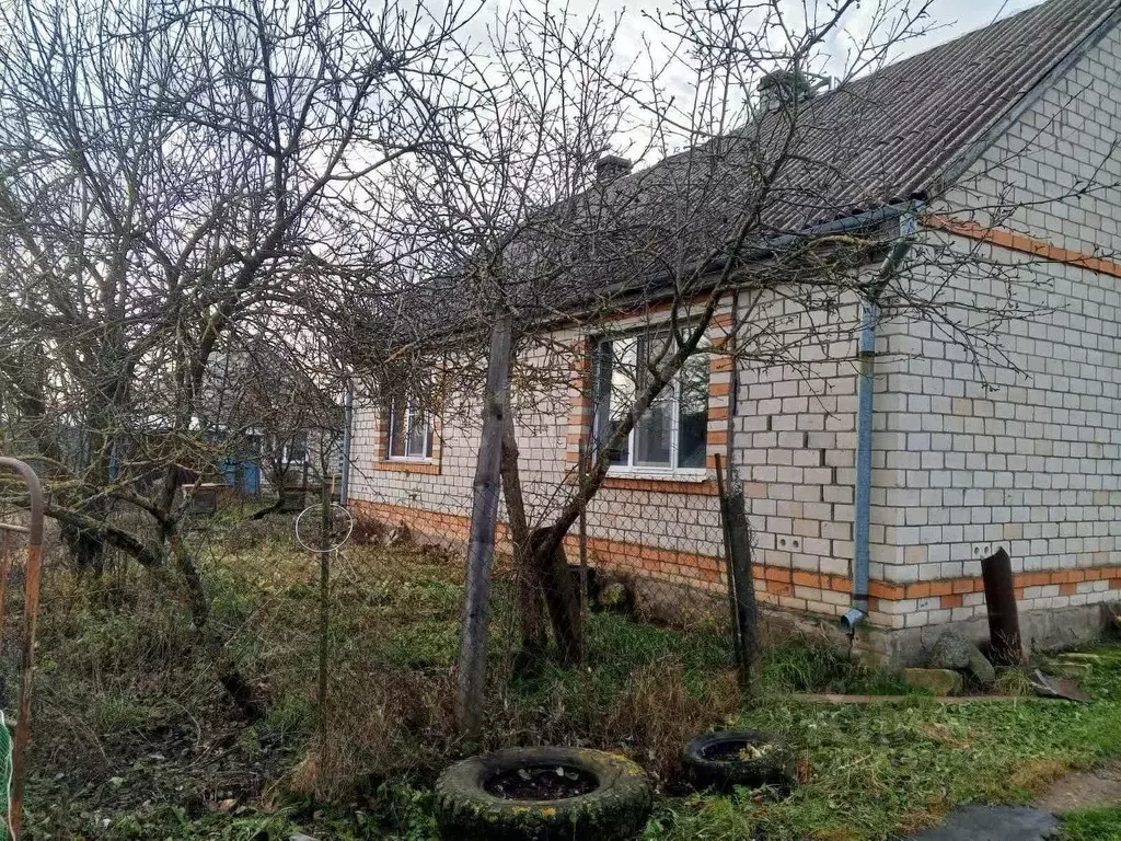 Дом в Псковская область, Пыталовский муниципальный округ, д. ... - Фото 1