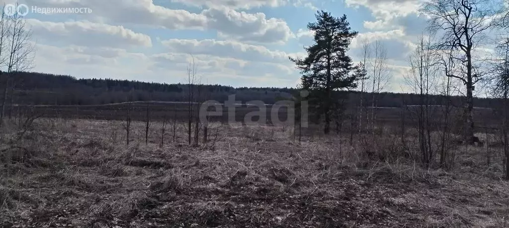 Участок в Вологодский муниципальный округ, деревня Тропино (13 м) - Фото 0