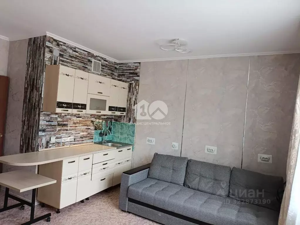 1-к кв. Кемеровская область, Кемерово пер. 3-й Иланский, 7А (28.0 м) - Фото 2