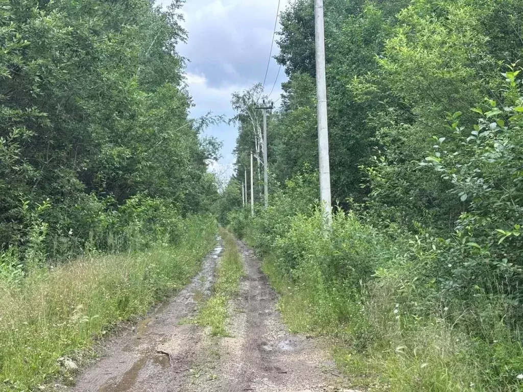 Участок в Свердловская область, Екатеринбург Горный Щит СНТ, 44 (10.0 ... - Фото 1