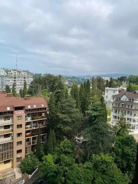 Студия Краснодарский край, Сочи Светлана мкр, ул. Депутатская, 10Б/1 ... - Фото 1