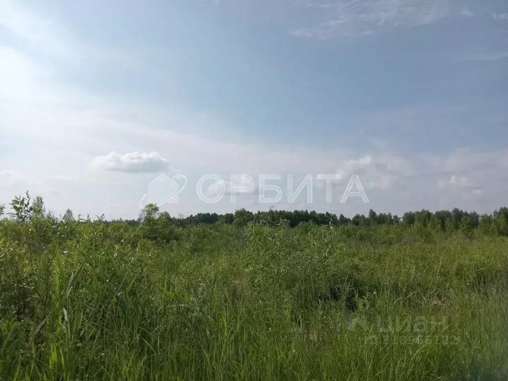 Участок в Тюменская область, Нижнетавдинский район, Сочинские СНТ  ... - Фото 0