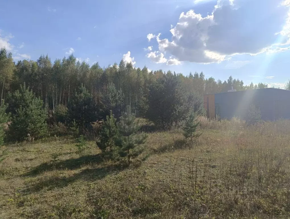 Участок в Тверская область, Калининский муниципальный округ, Новое ... - Фото 1