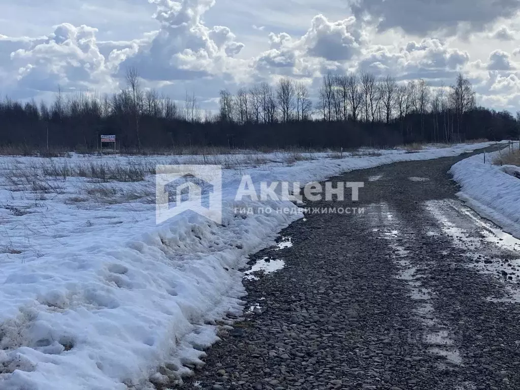Участок в Ивановская область, Ивановский район, Коляновское с/пос, с. ... - Фото 1