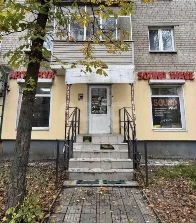 Торговая площадь в Воронежская область, Воронеж ул. Переверткина, 24 ... - Фото 1