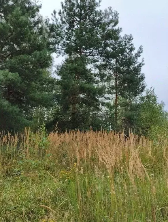 Участок в Московская область, Шатура муниципальный округ, д. ... - Фото 2