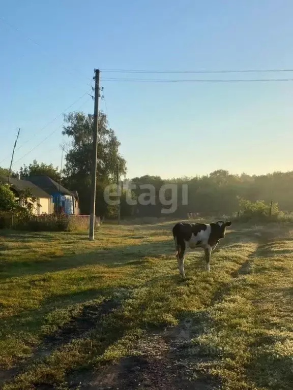 Участок в Хакасия, Черногорск пос. 9-й,  (10.0 сот.) - Фото 0