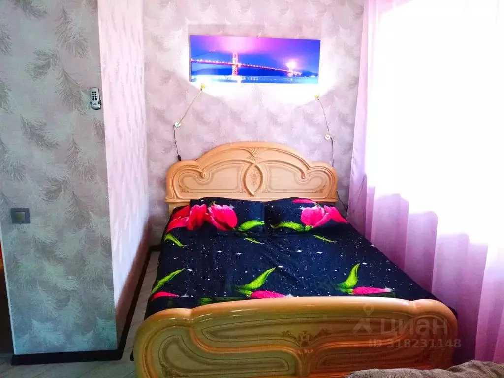 Студия Камчатский край, Петропавловск-Камчатский просп. 50 лет ... - Фото 0