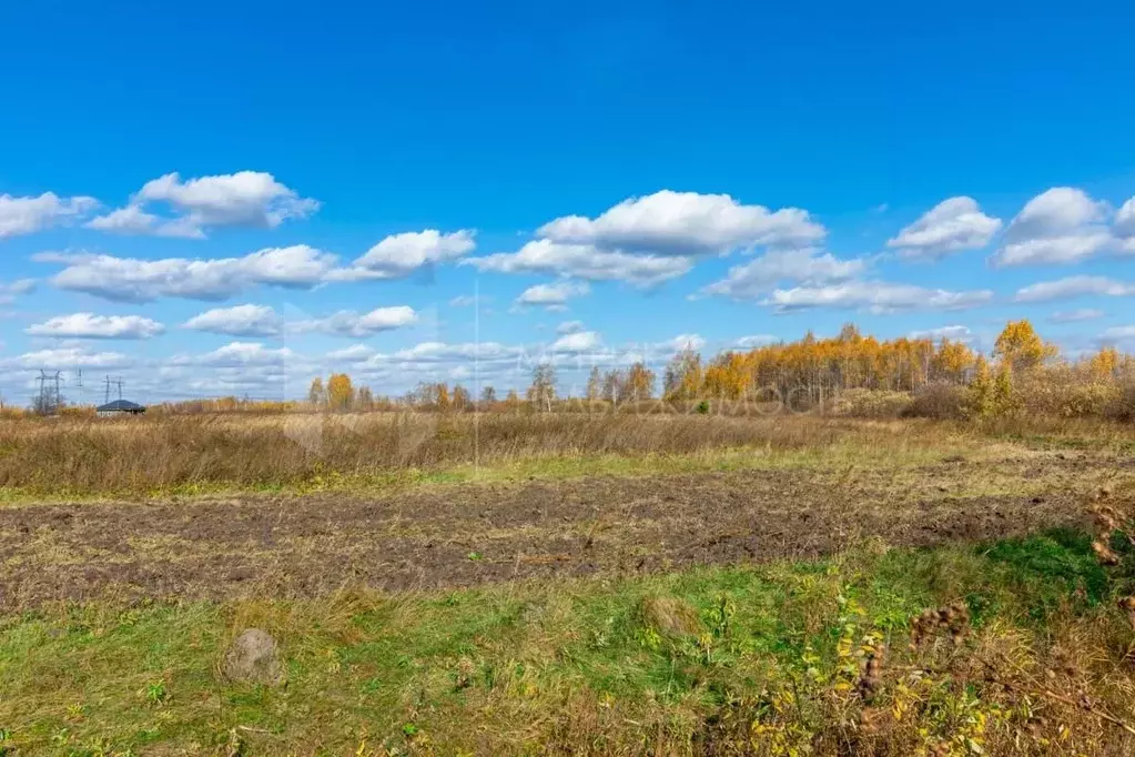 Участок в Тюменская область, Тюменский район, с. Борки  (18.0 сот.) - Фото 0