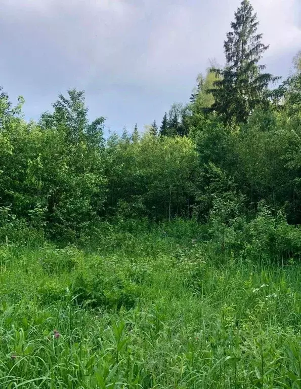 Участок в Московская область, Дмитровский муниципальный округ, ... - Фото 1