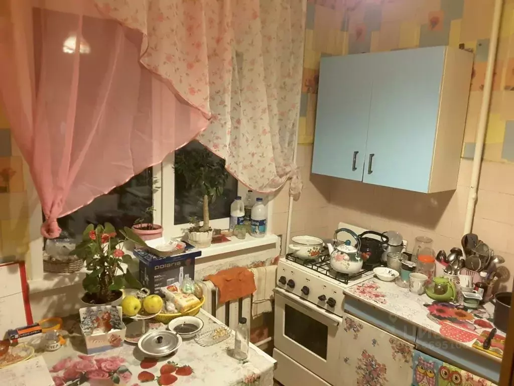 1-к кв. Орловская область, Орел ул. Игнатова, 35 (30.5 м) - Фото 1
