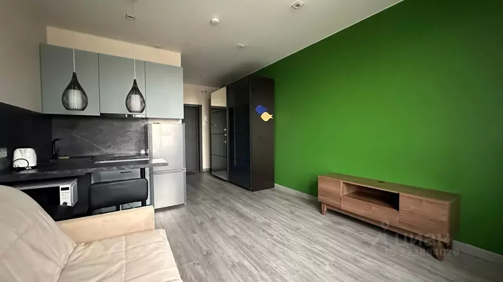 Студия Московская область, Химки городской округ, д. Рузино, ... - Фото 1