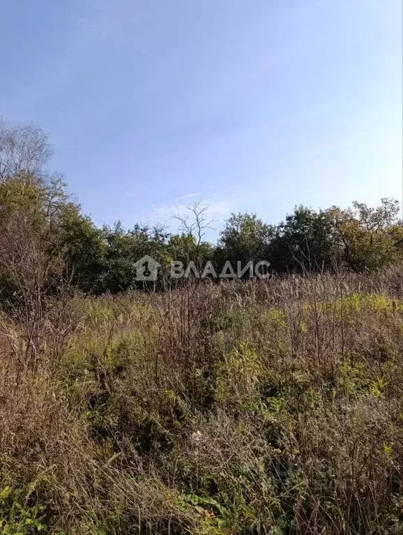 Участок в Владимирская область, Кольчугино муниципальное образование, ... - Фото 2