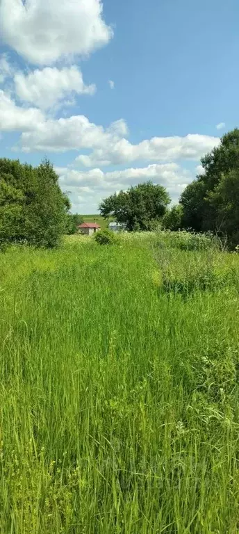 Участок в Московская область, Ступино городской округ, с. Новоселки  ... - Фото 0