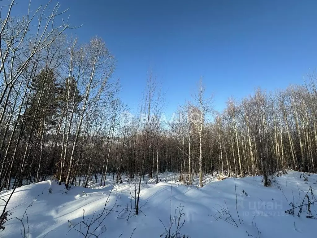 Участок в Иркутская область, Иркутский муниципальный округ, д. ... - Фото 2