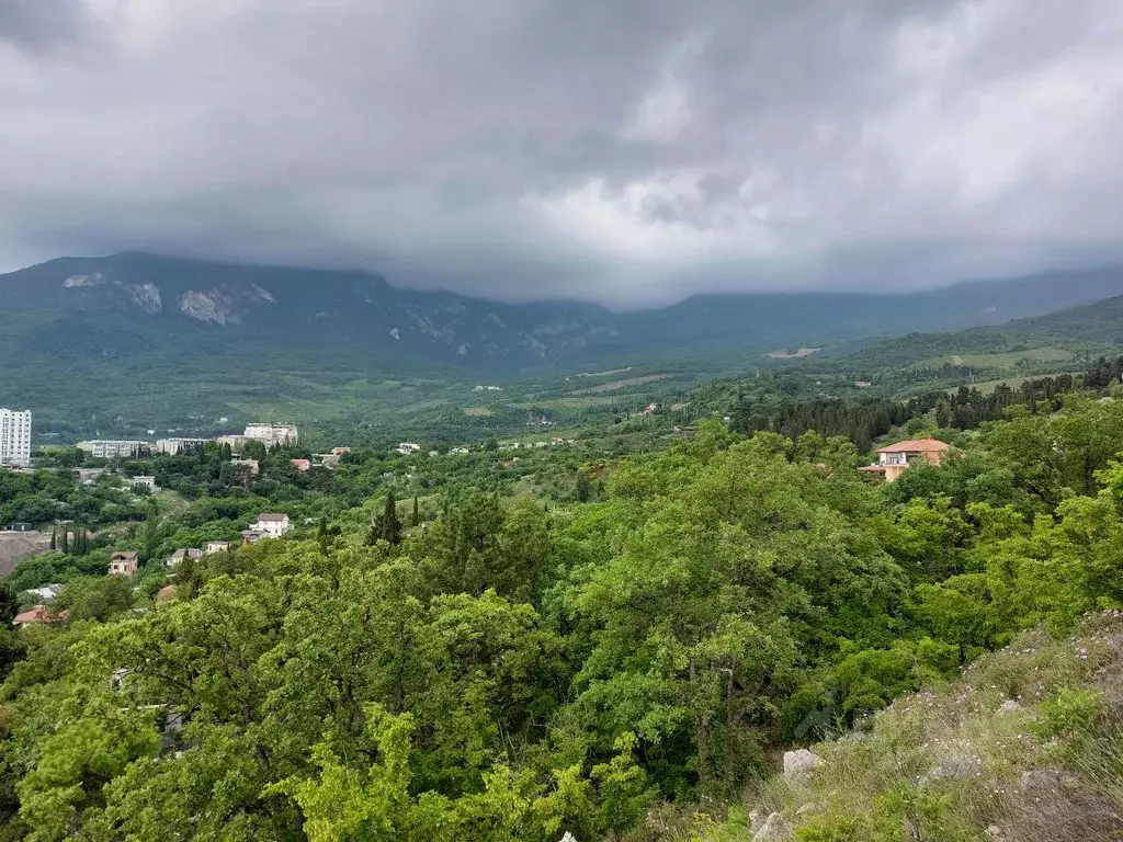 Участок в Крым, Ялта муниципальный округ, Гурзуф пгт ул. Лазурная, 5 ... - Фото 1