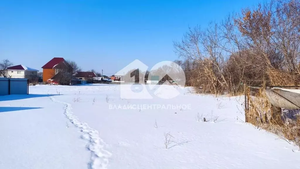 Участок в Новосибирская область, Новосибирский район, с. Криводановка ... - Фото 0