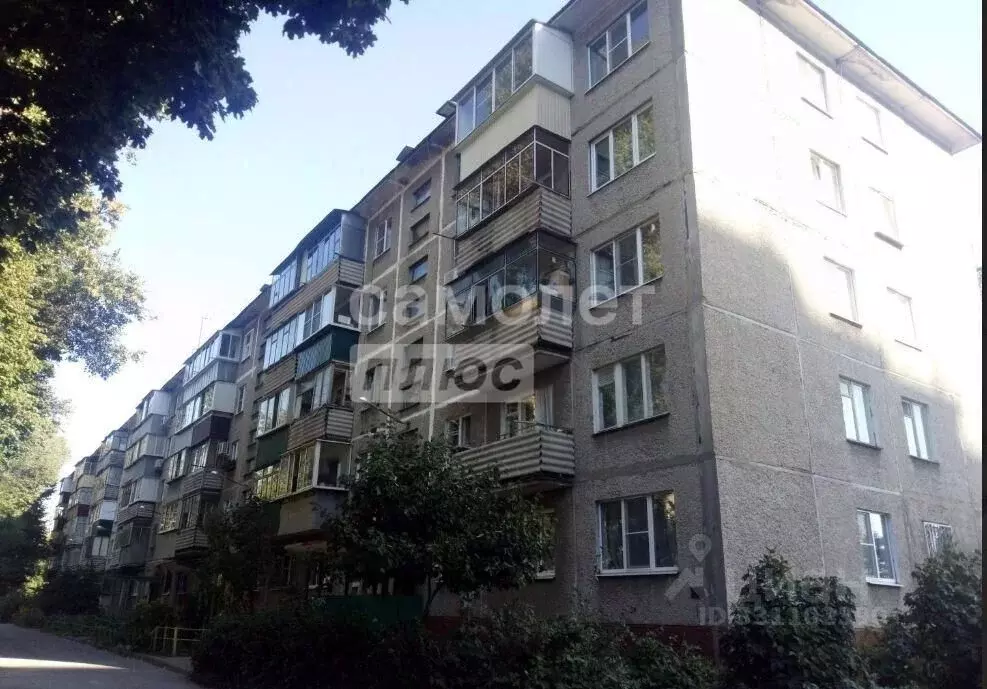 3-к кв. Липецкая область, Липецк Липовская ул., 7 (62.0 м) - Фото 1