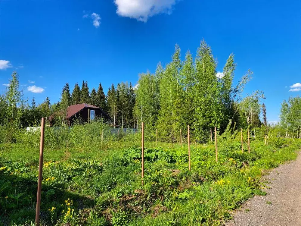 Участок, 10 сот., поселения (ижс) - Фото 2