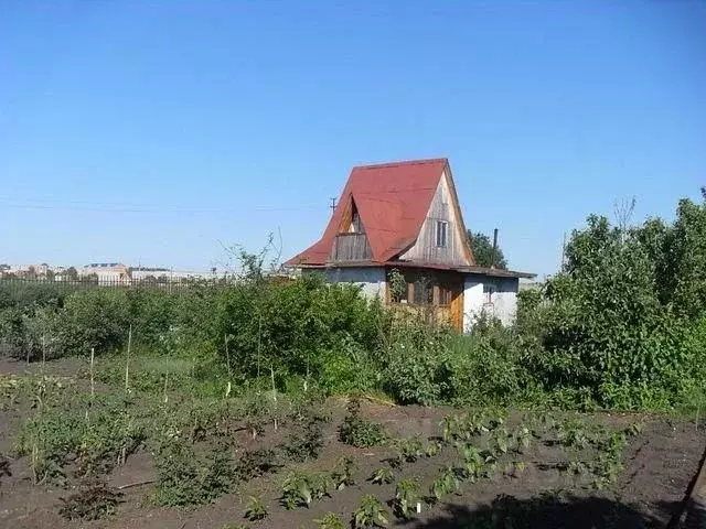 Купить Дачу В Омске Без Посредников