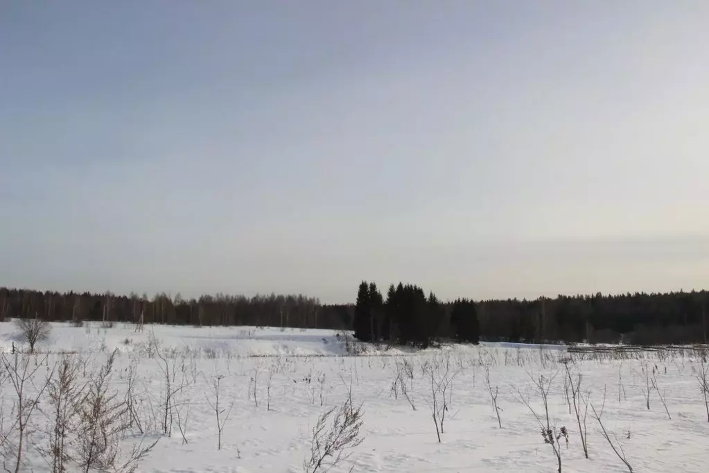 Участок в Московская область, Шаховская муниципальный округ, д. Косово ... - Фото 1