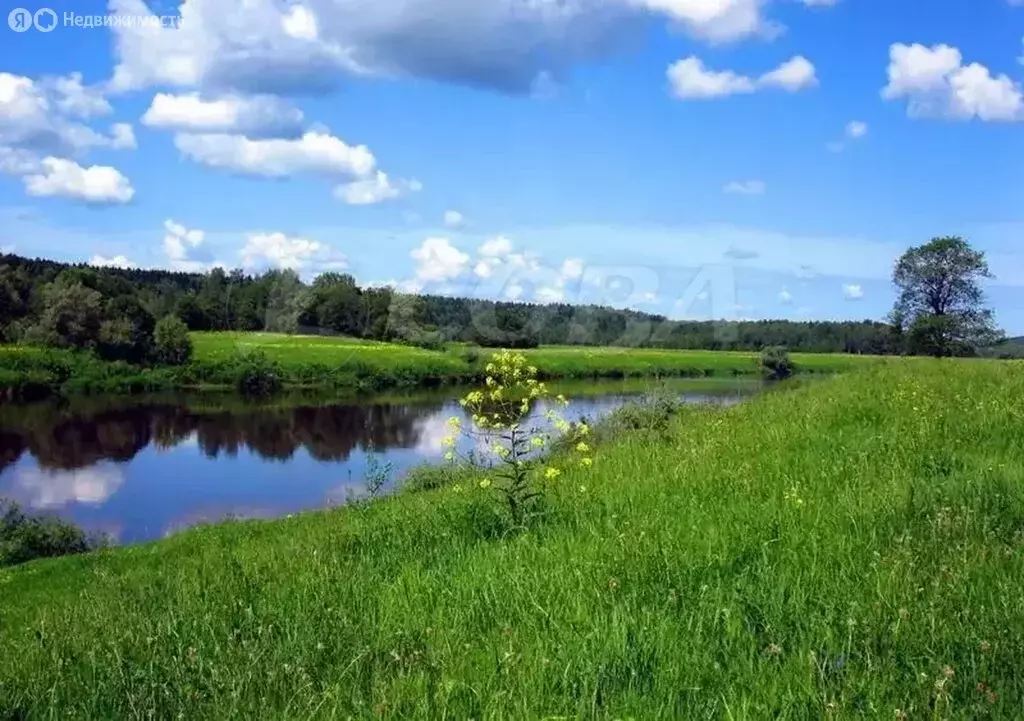 Участок в Тюменский район, деревня Ушакова (50 м) - Фото 0
