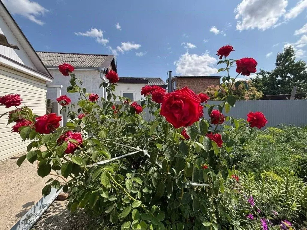 Дом в Краснодарский край, Ейск ул. Чкалова (80 м) - Фото 1