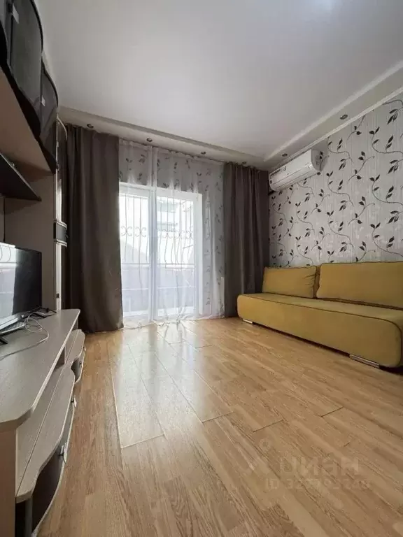 1-к кв. Краснодарский край, Сочи Виноградная ул., 224/2 (30.0 м) - Фото 2