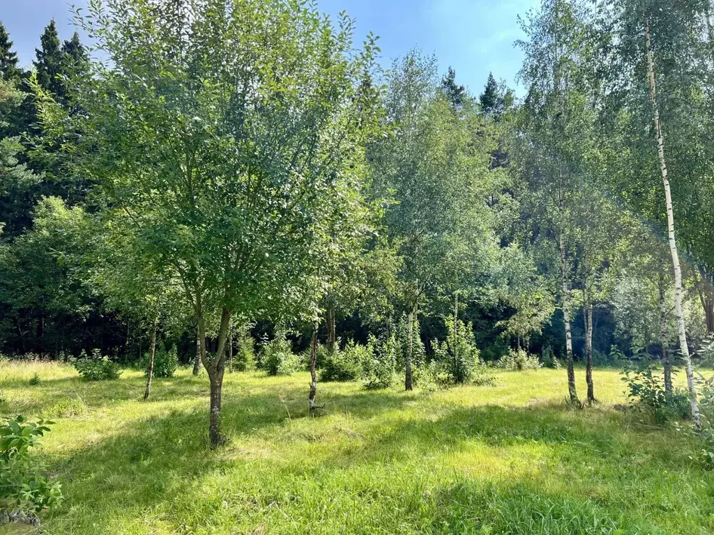 Участок в Московская область, Мытищи городской округ, д. Аксаково ул. ... - Фото 2