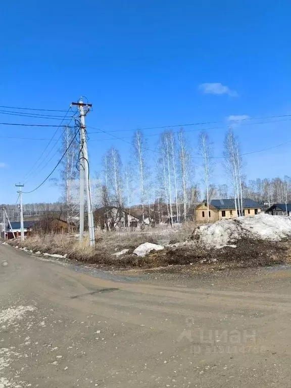 Участок в Новосибирская область, Новосибирский район, Раздольненский ... - Фото 1