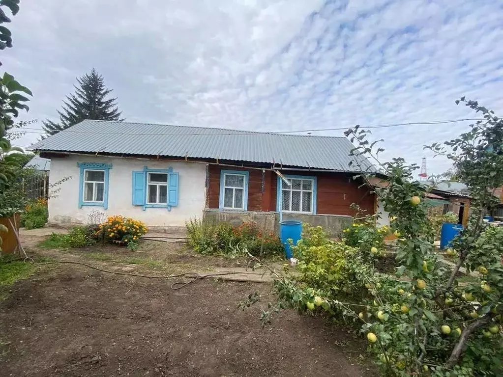 Дом в Оренбургская область, Бузулук Вишневая ул. (33 м) - Фото 2