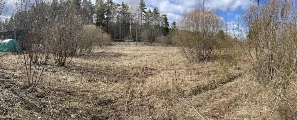 Участок в Карелия, Сортавальский муниципальный округ, пос. Оявойс ул. ... - Фото 1