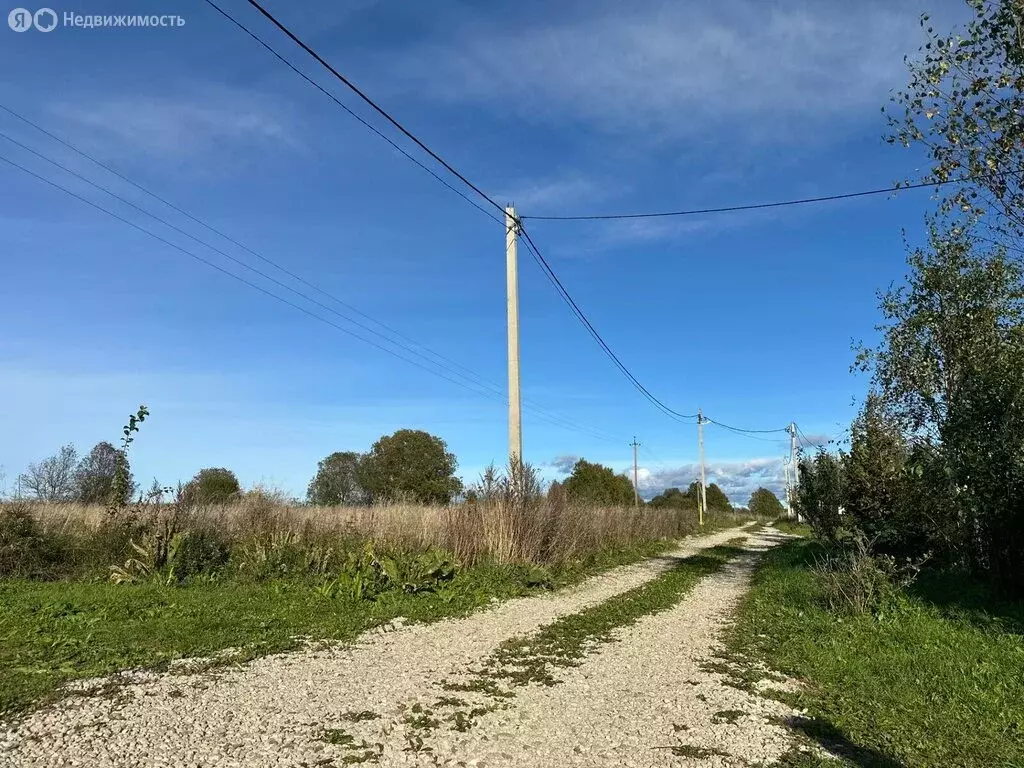 Участок в Котельское сельское поселение, деревня Большое Руддилово ... - Фото 2