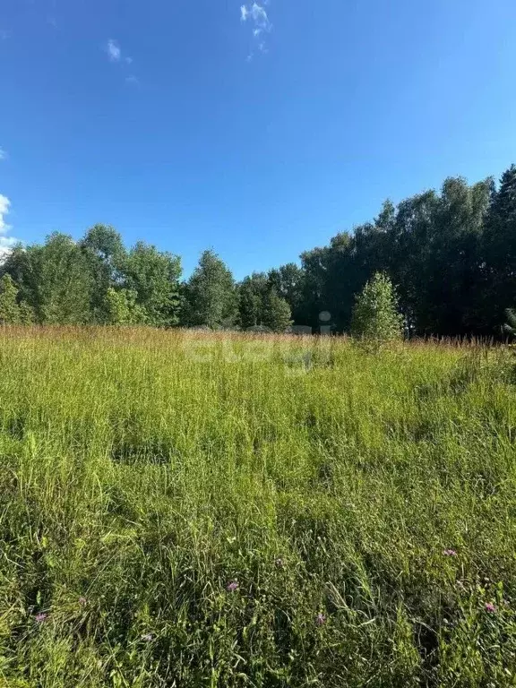 участок в московская область, подольск городской округ, д. лаговское . - Фото 1