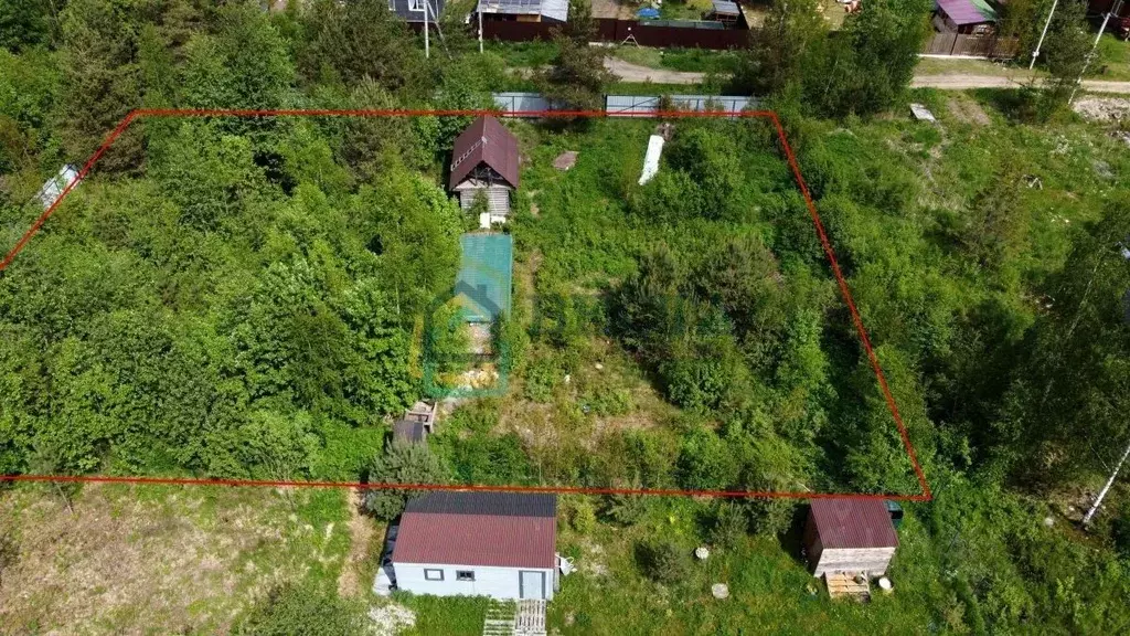 Участок в Ленинградская область, Всеволожский район, Рахьинское ... - Фото 2