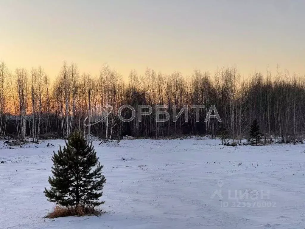 Участок в Тюменская область, Тюменский муниципальный округ, д. ... - Фото 1