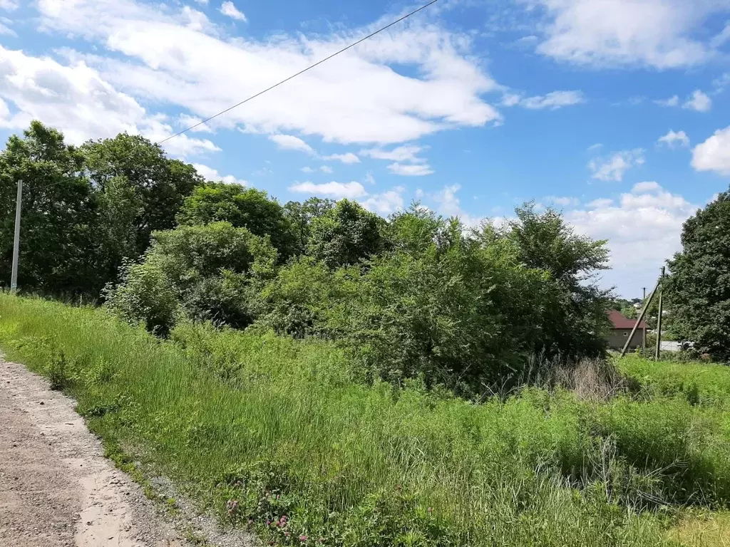 Участок в Приморский край, Надеждинский район, пос. Раздольное ул. ... - Фото 2