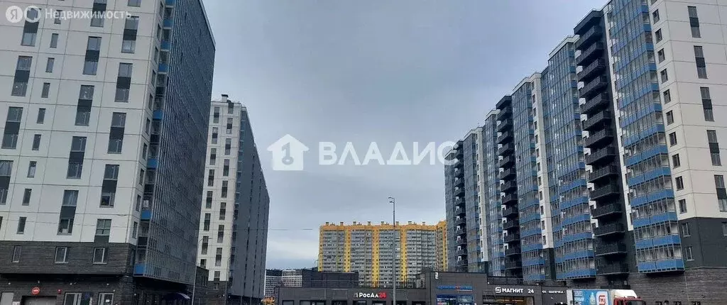 Квартира-студия: Мурино, Графская улица, 6к1 (20.7 м) - Фото 2