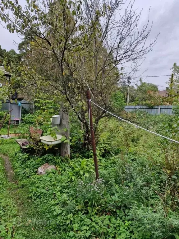 Участок в Московская область, Люберцы городской округ, Малаховка пгт ... - Фото 2