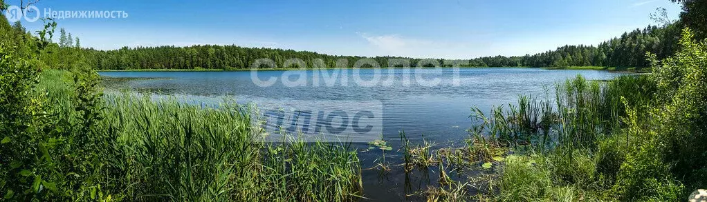 2-комнатная квартира: посёлок Визимьяры, улица Гагарина, 1 (45 м) - Фото 0