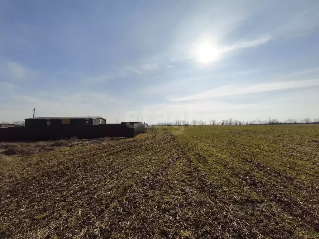 Участок в Крым, Ленинский район, Челядиновское с/пос, Военный Городок ... - Фото 2