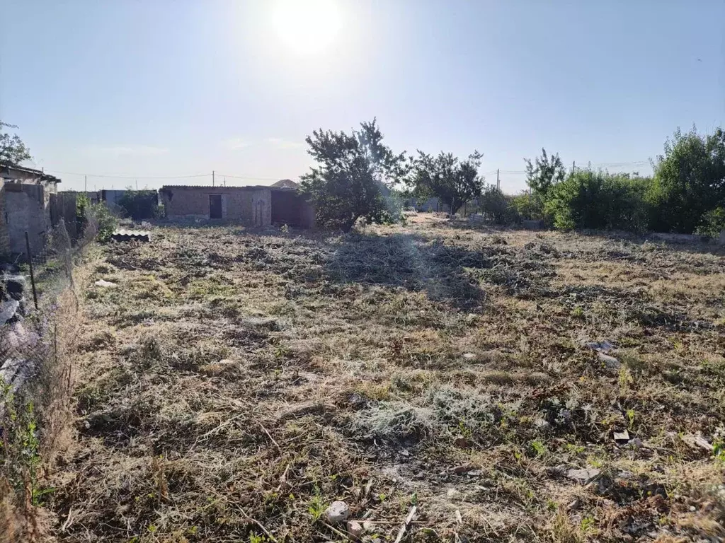 Участок в Ростовская область, Волгодонской район, Добровольское с/пос, ... - Фото 2