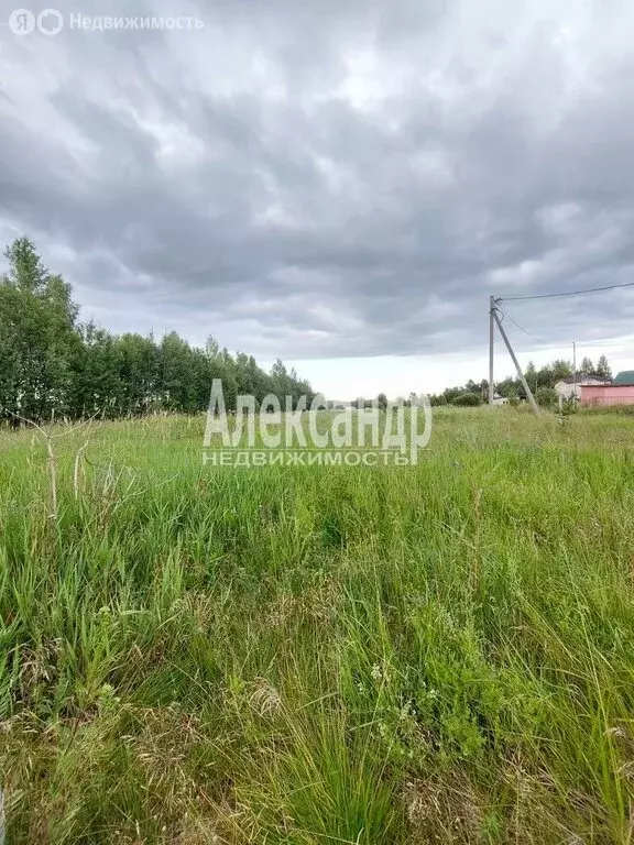 Участок в Глажевское сельское поселение, деревня Наволок (20 м) - Фото 1