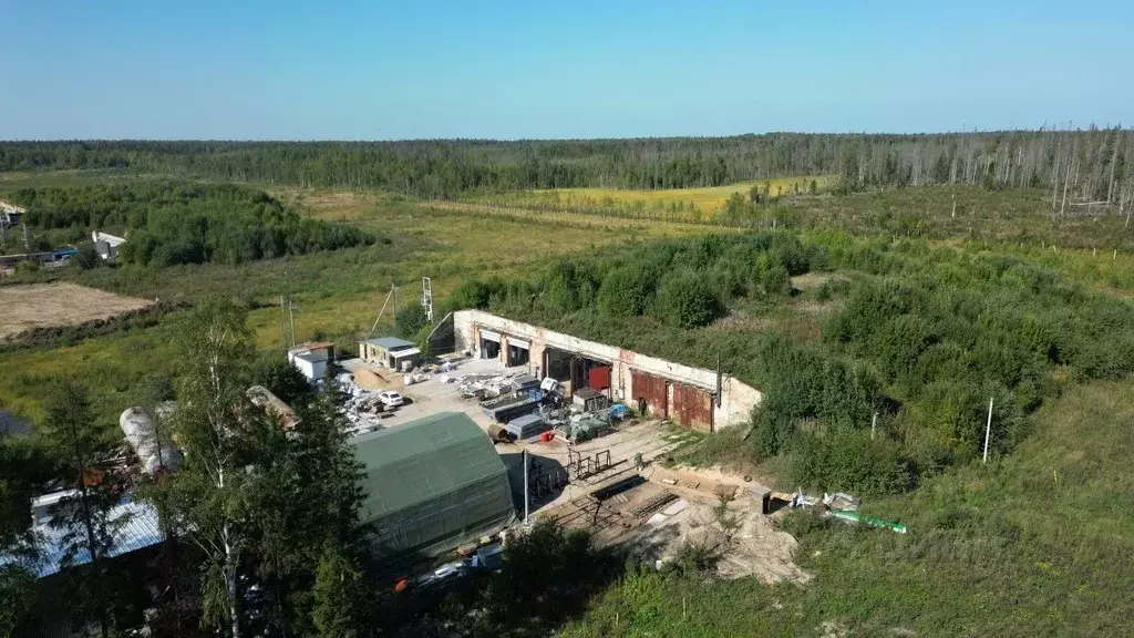 Производственное помещение в Ленинградская область, Всеволожский ... - Фото 1