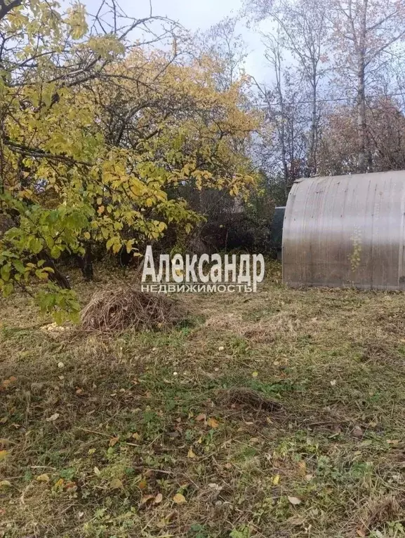 Участок в Ленинградская область, Гатчинский муниципальный округ, ... - Фото 1