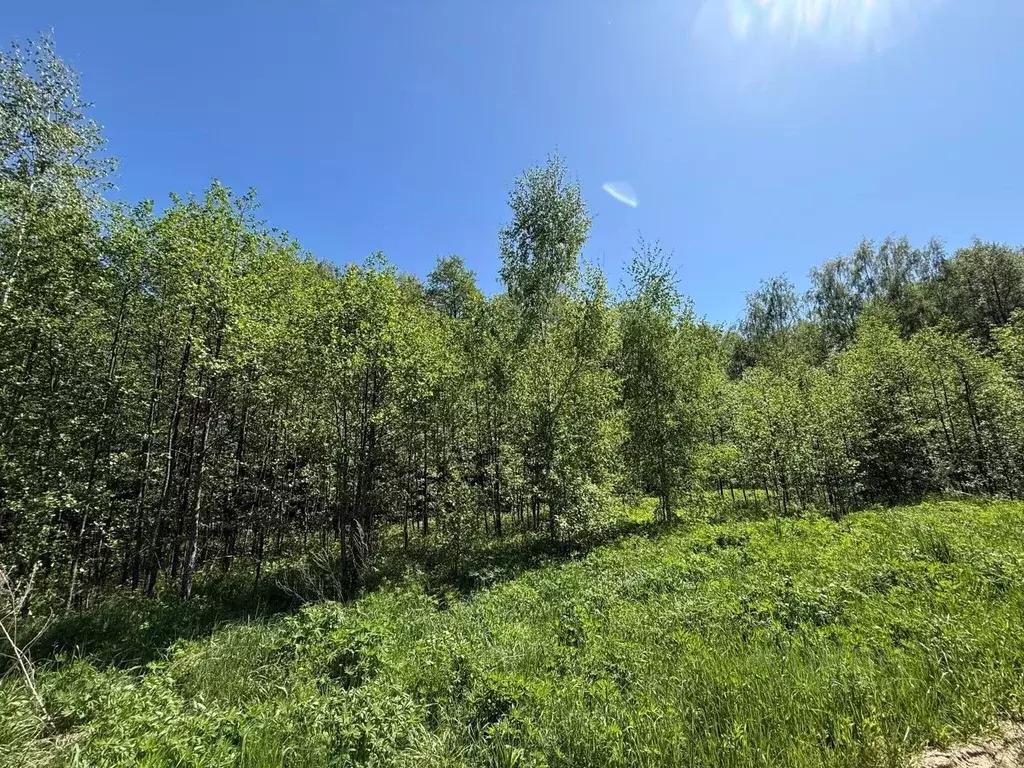 Участок в Владимирская область, Владимир д. Никулино, ул. Извилистая ... - Фото 1