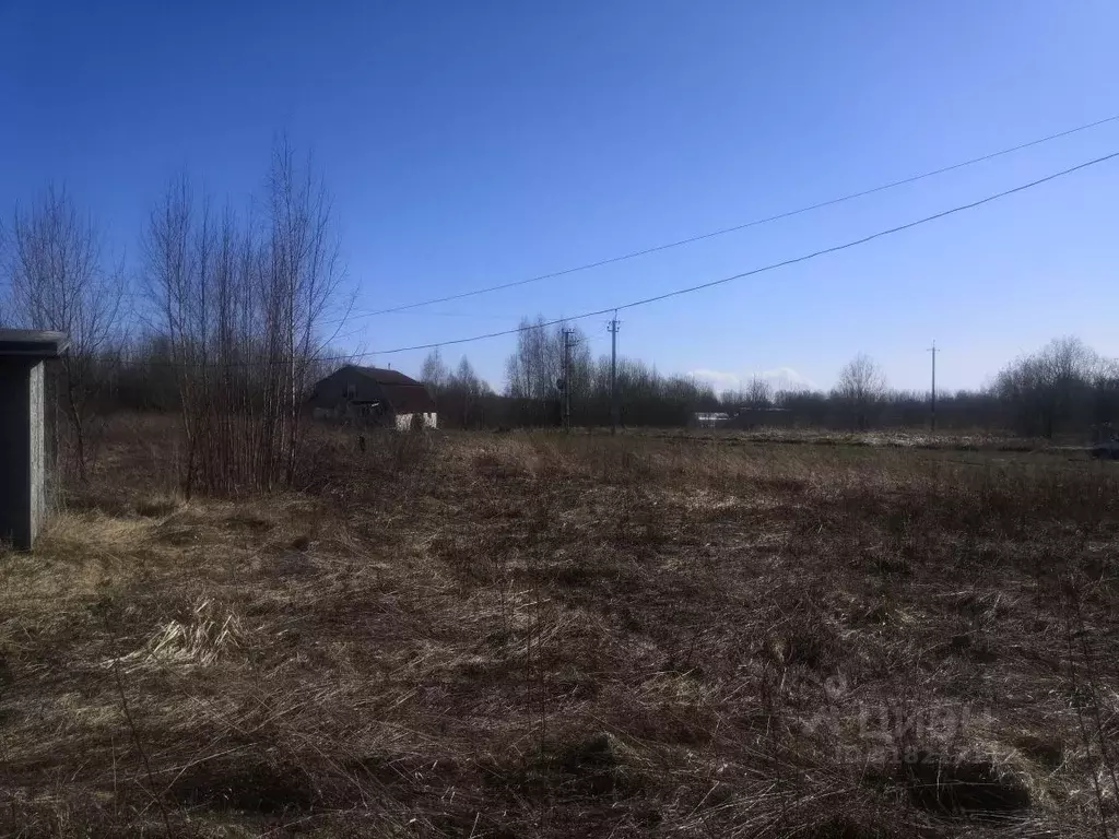 Участок в Новгородская область, Новгородский район, Ракомское с/пос, ... - Фото 1