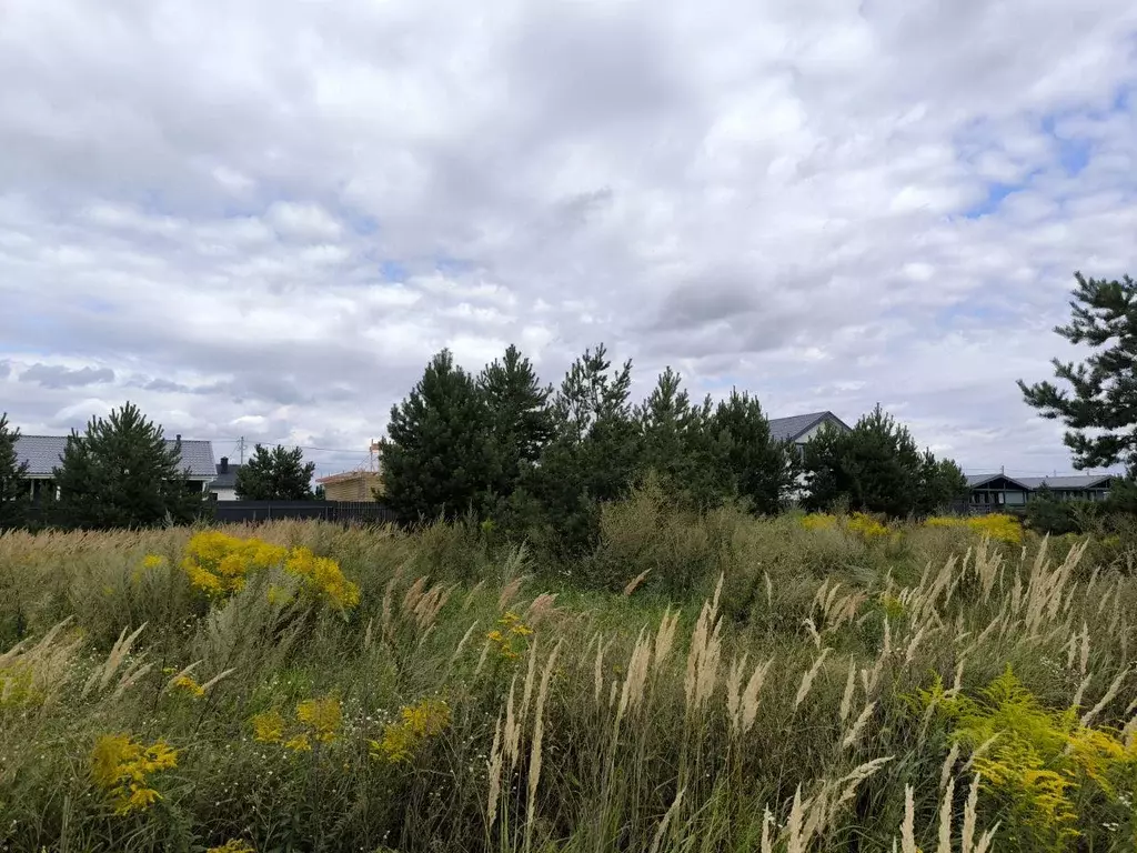 Участок, 5.8 сот., поселения (ижс) - Фото 1