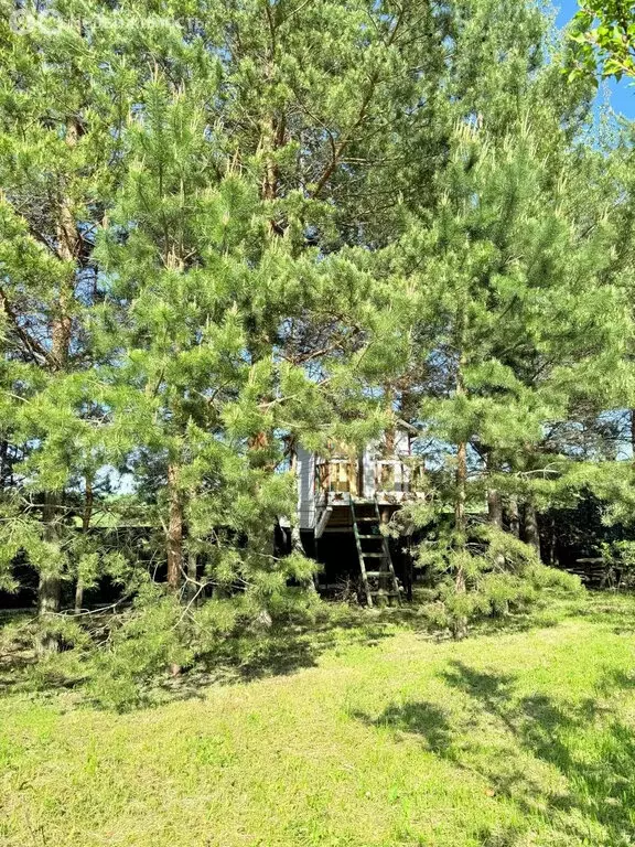 Дом в деревня Первый Воин, улица Калинникова, 42 (134.4 м) - Фото 1