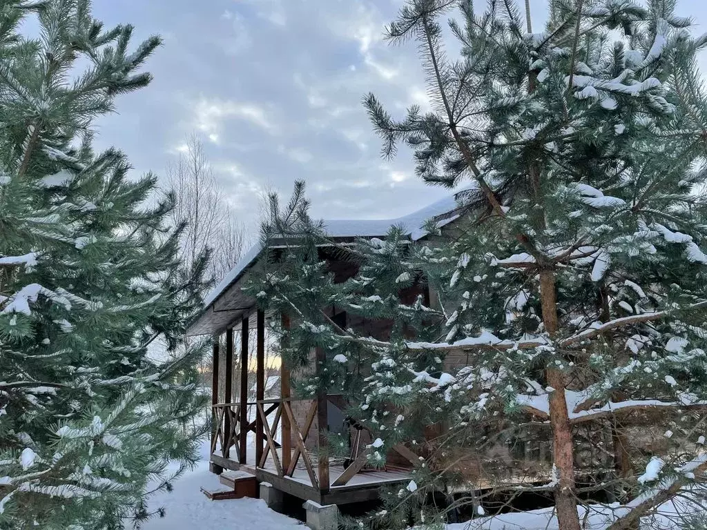 Дом в Псковская область, Пушкиногорье городское поселение, д. Авдоши  ... - Фото 1